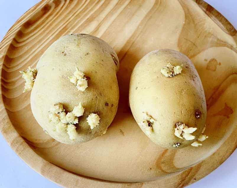 Peut-on manger des pommes de terre germées sans danger ?-Santé AMU de France