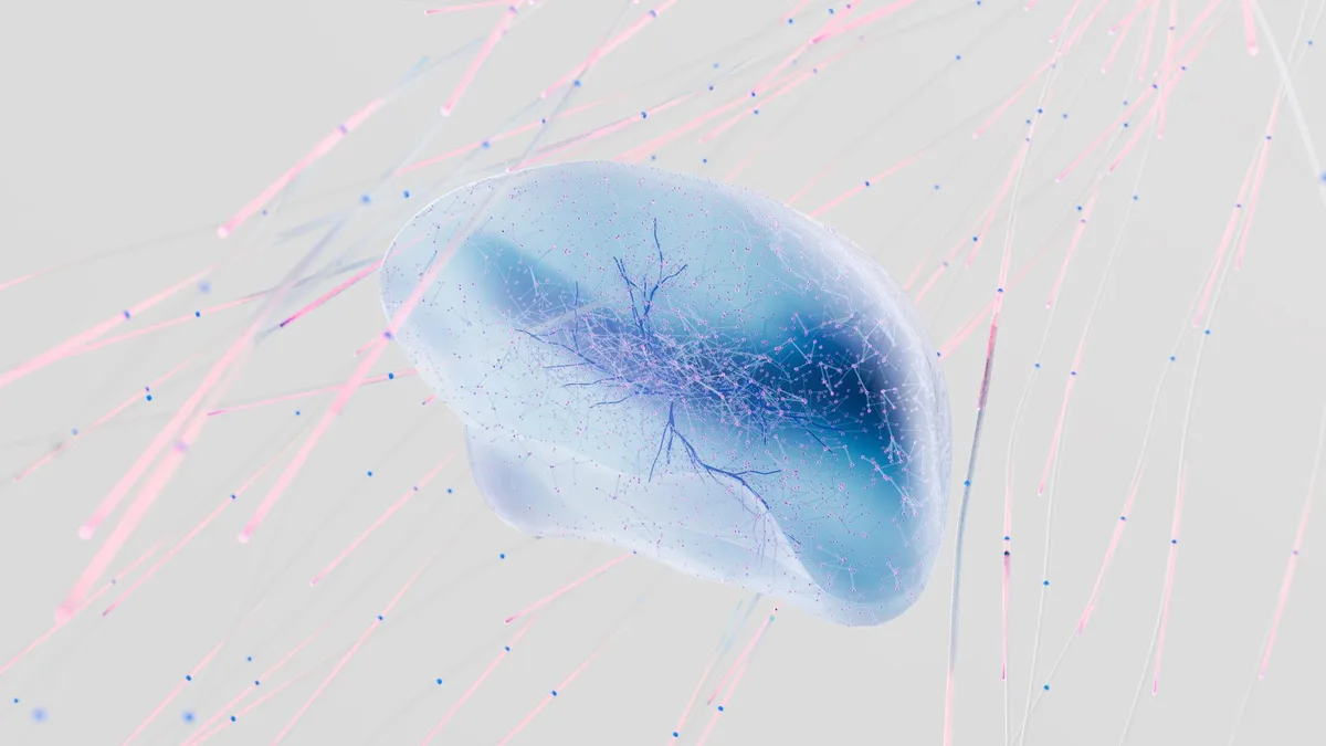 Schéma du cerveau montrant l'hypothalamus et les voies de régulation nerveuse du corps.