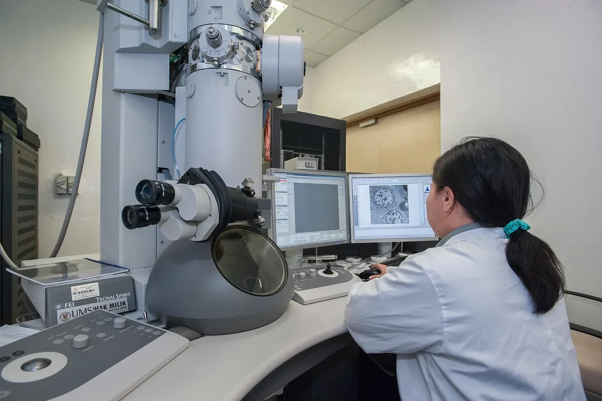 Mains anonymes manipulant lames de laboratoire sur une table éclairée par la lumière du jour