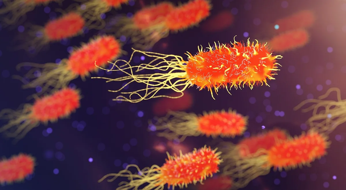 Échantillon de laboratoire et microscope symbolisant la recherche sur le placenta
