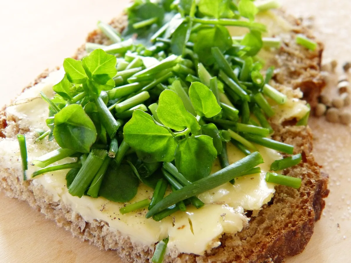 Aliments variés riches en minéraux et vitamines pour la santé