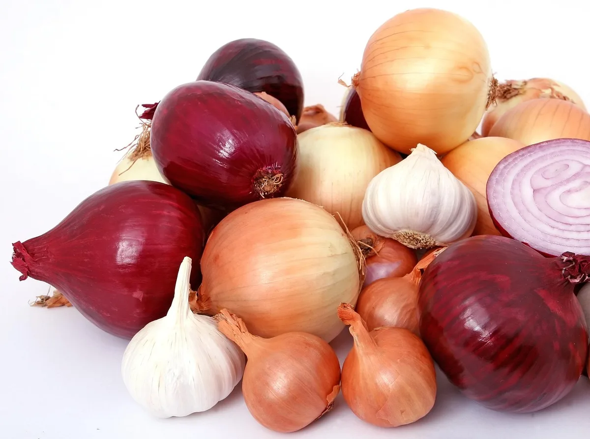 Assortiment d'épices (cannelle, gingembre, fenugrec) sur un plan de travail